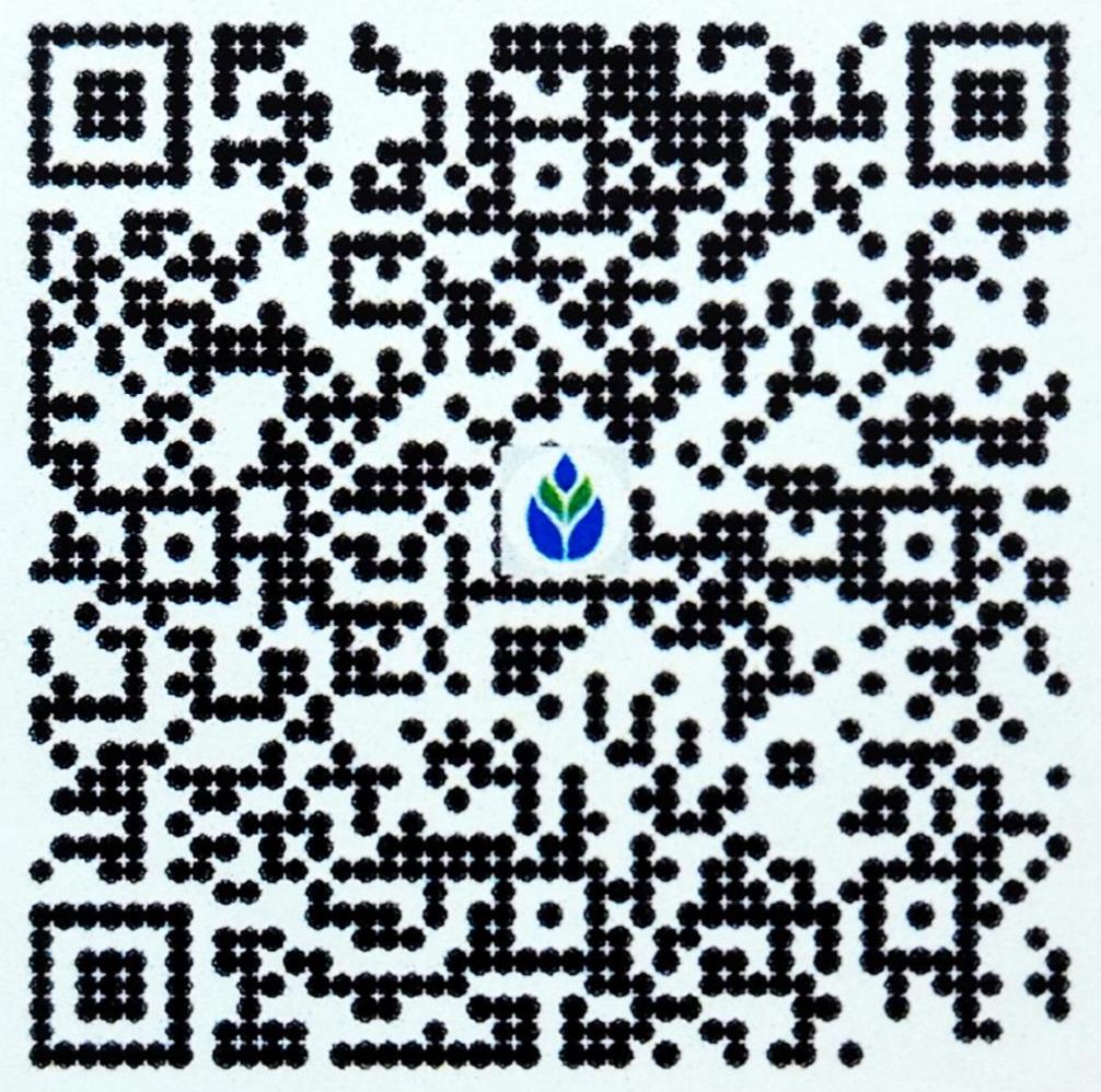 Payment QR